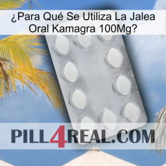 ¿Para Qué Se Utiliza La Jalea Oral Kamagra 100Mg 16